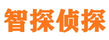 秦安外遇出轨调查取证